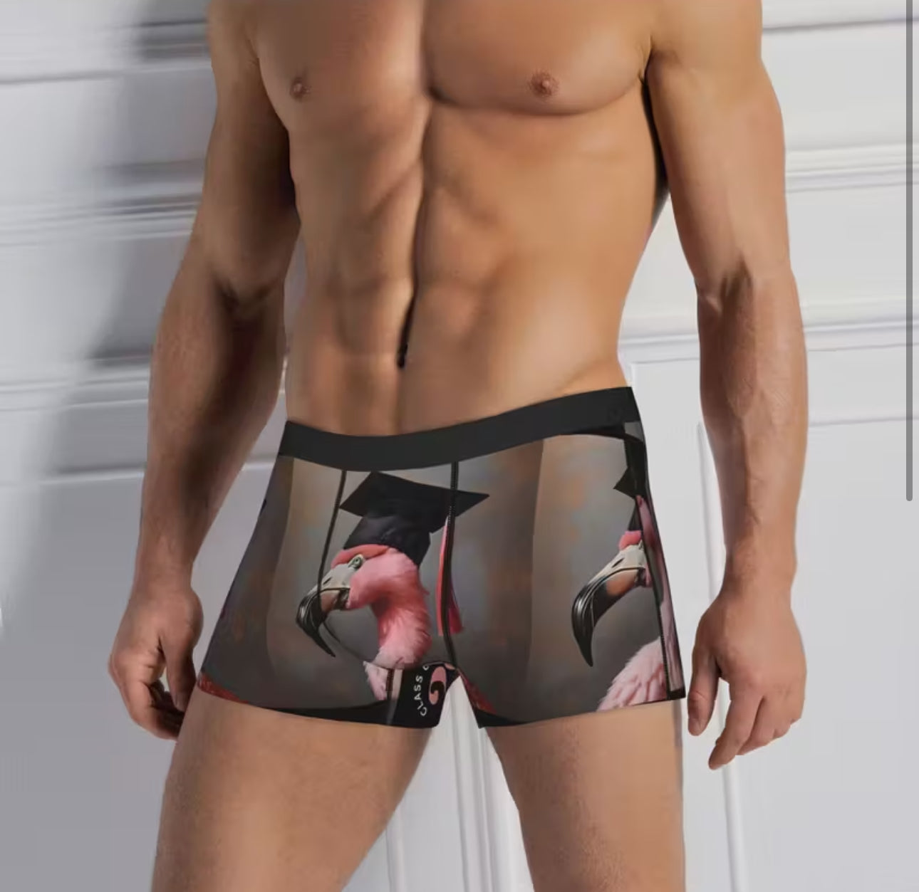 Boxershorts flamingo